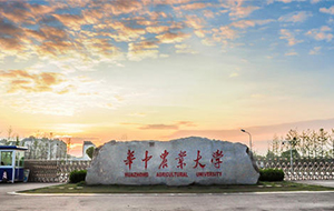 华农实验室纯水系统招标恭喜英国威廉希尔(williamhill)唯一官方网站中标