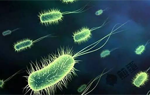 热源的去除方法有哪些？