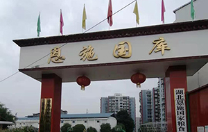 恩施粮油质监站