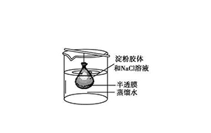 水中的胶体物质及悬浮物质是什么?